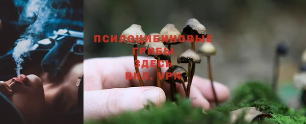 амф Майский