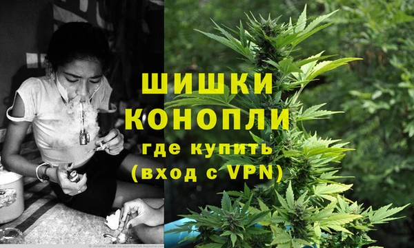 амф Майский