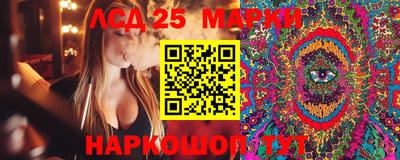 PSILOCYBIN Гусиноозёрск