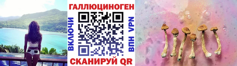 где купить наркотик  Надым  Псилоцибиновые грибы прущие грибы 